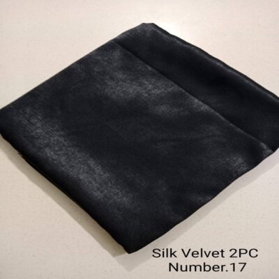 Elegant Silk Velvet 2-Piece Suit +17