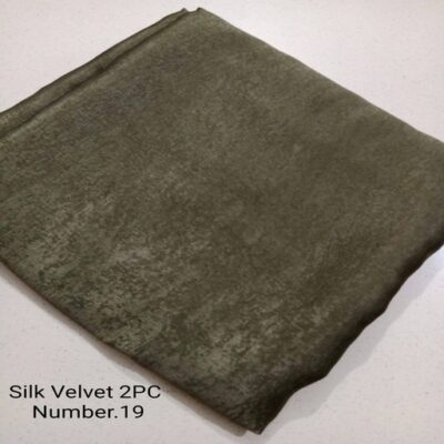 Elegant Silk Velvet 2-Piece Suit +19