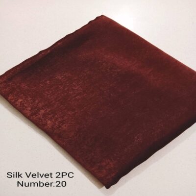 Elegant Silk Velvet 2-Piece Suit +20
