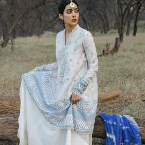 Zara Shahjahan SpringSummer Lawn Collection 2020 – Bansuri-B